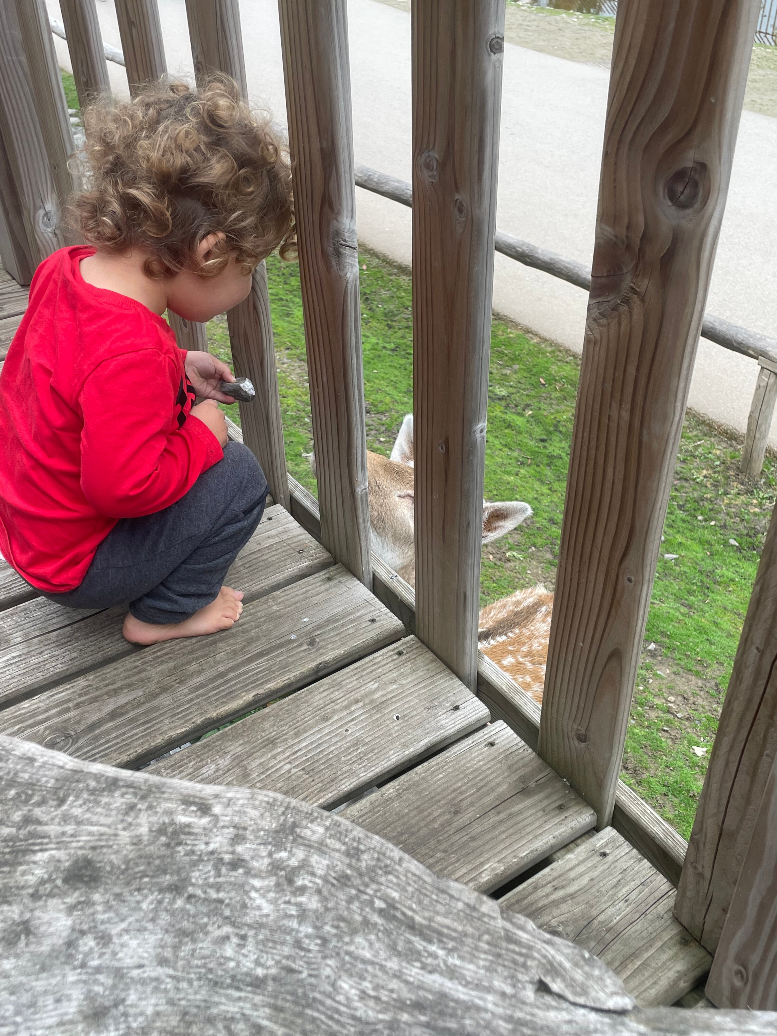 Pairi Daiza Resort-酒店景观