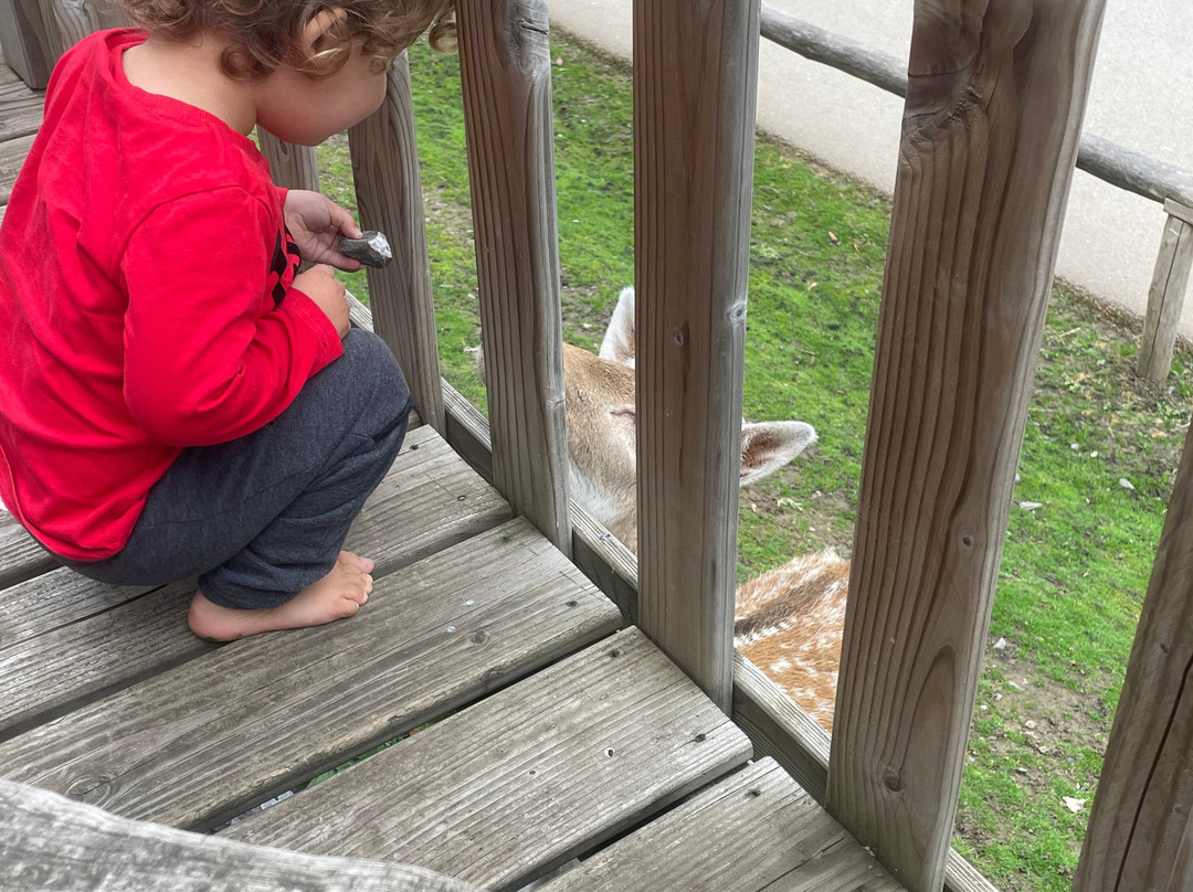 Pairi Daiza Resort主图