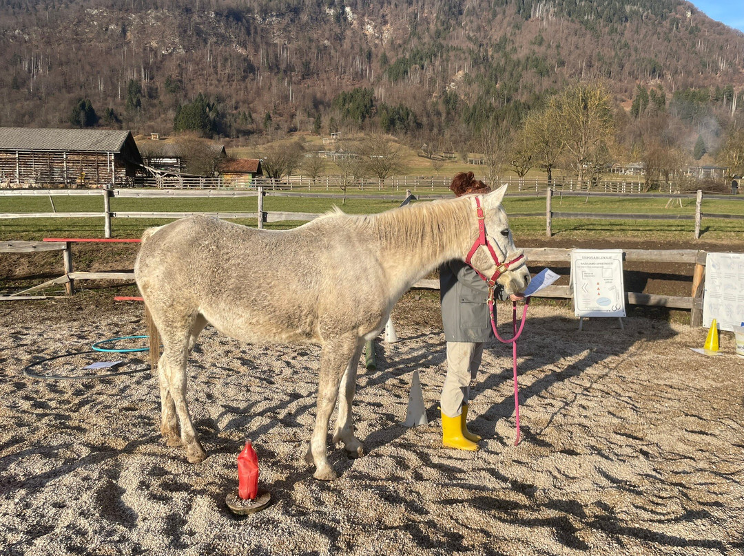 Učni ranč-Bohinjska Cesnjica必去景点