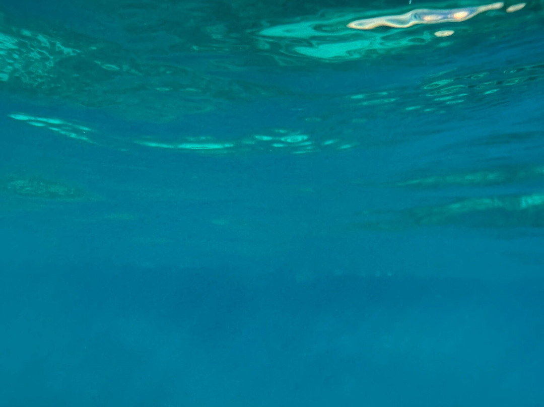 Ritual Dive-Xlendi必去景点