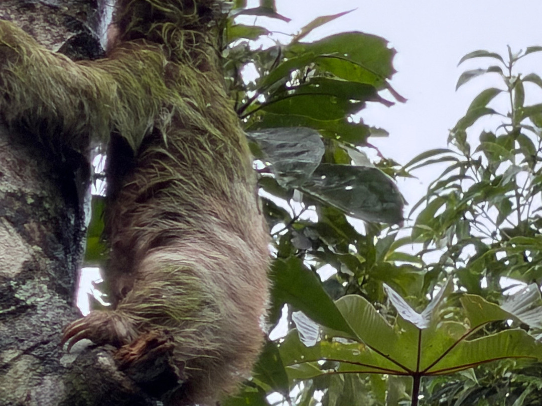 NexusTours-圣何塞必去景点