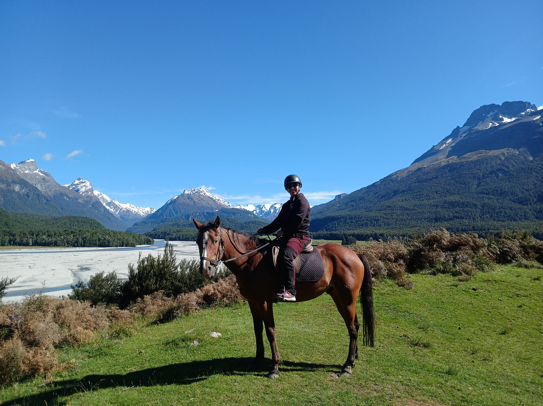 High Country Horse Adventures Lake Coleridge-基督城必去景点