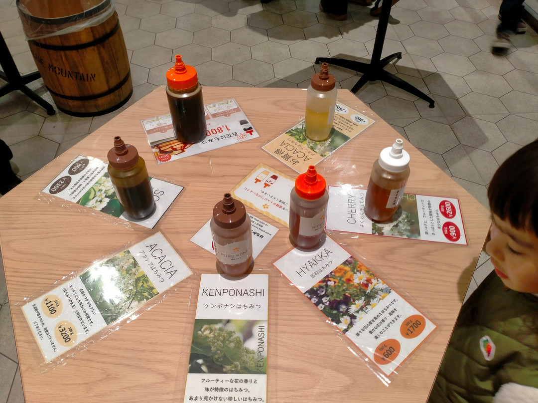 Hachimitsu Kobo-君津市必去景点