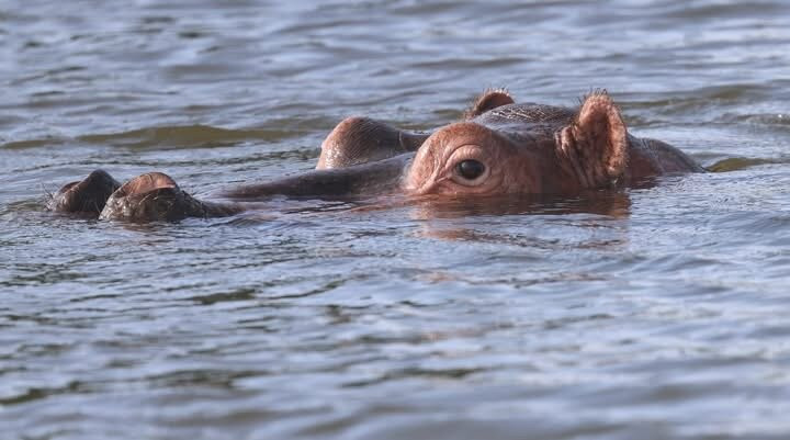 Absolute Ethiopia Tours-亚的斯亚贝巴必去景点