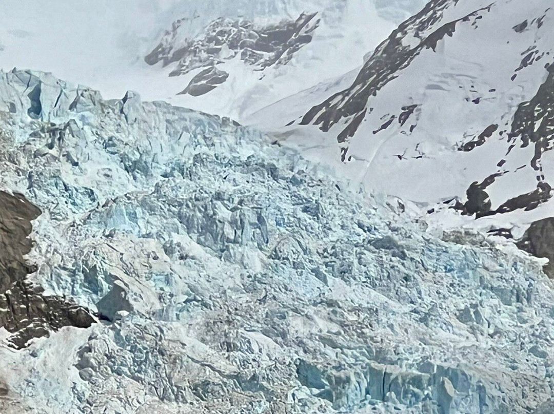 Channel of Last Hope (Ultima Esperanza)-纳塔莱斯港必去景点