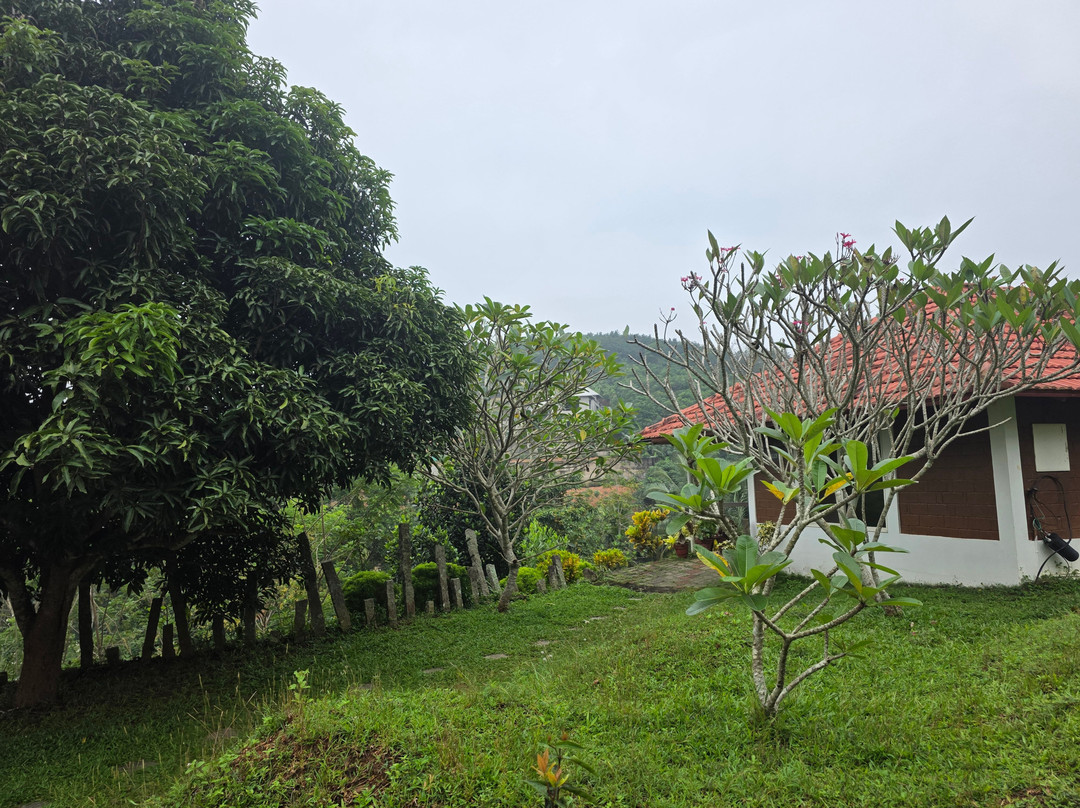 Indimasi - The Healing Village主图