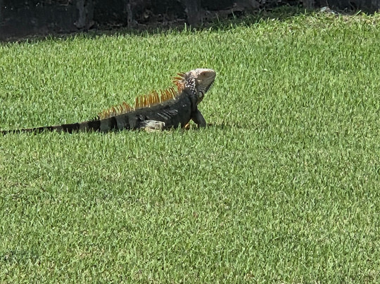 Unique Quality Tours-圣胡安必去景点