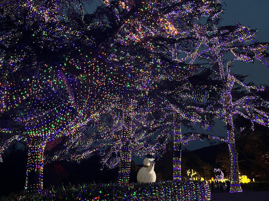 Holiday Road-卡拉巴萨斯必去景点