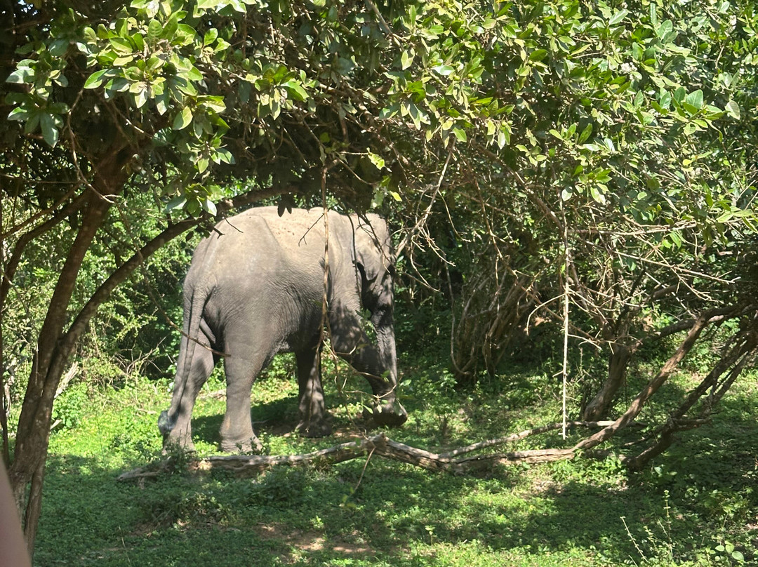Freedom Safari Jeep Tours-蒂瑟默哈拉默必去景点
