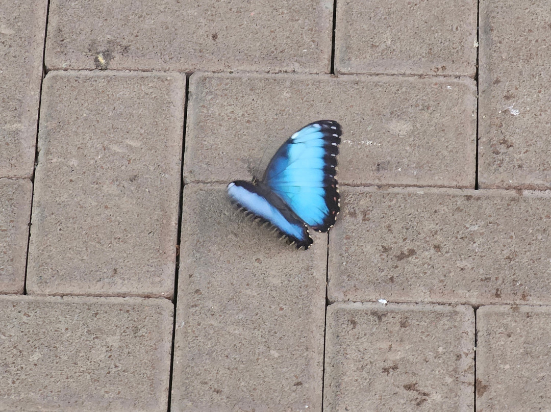 国家博物馆-圣何塞必去景点