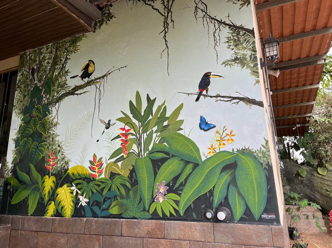 Pichincha Province旅游景点-Choco Toucan Reserve