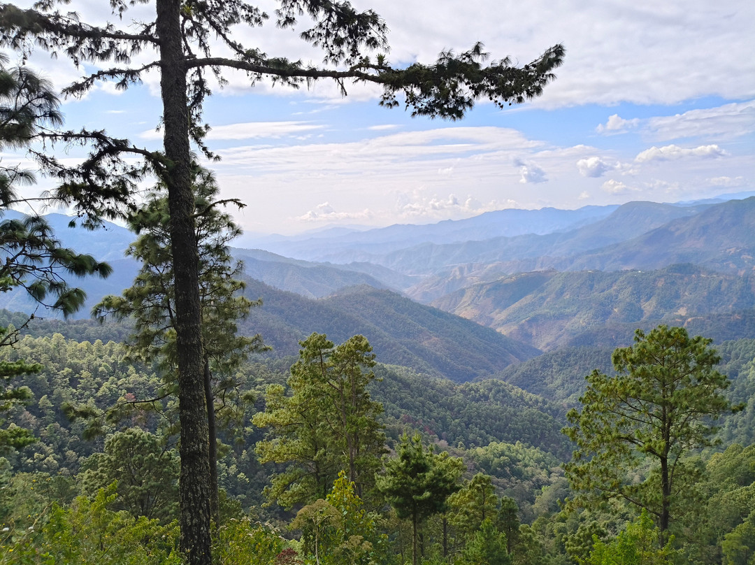 Zapotecos Tours-瓦哈卡必去景点