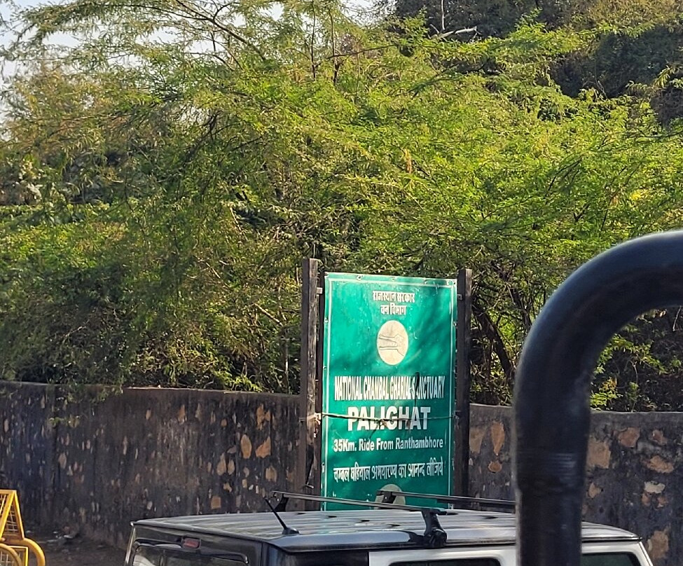 Ranthambore National Park-Ranthambore National Park必去景点