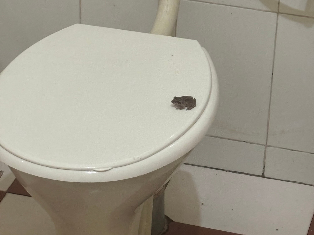 Aranyakam Homestay主图