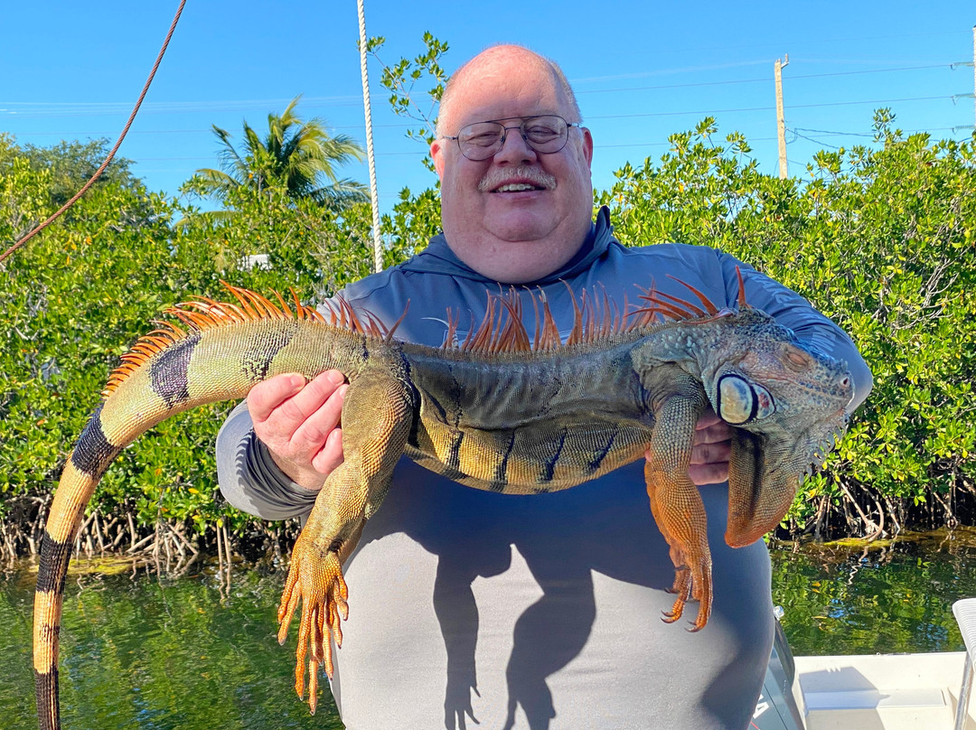 Invasive EnVogue-Ramrod Key必去景点