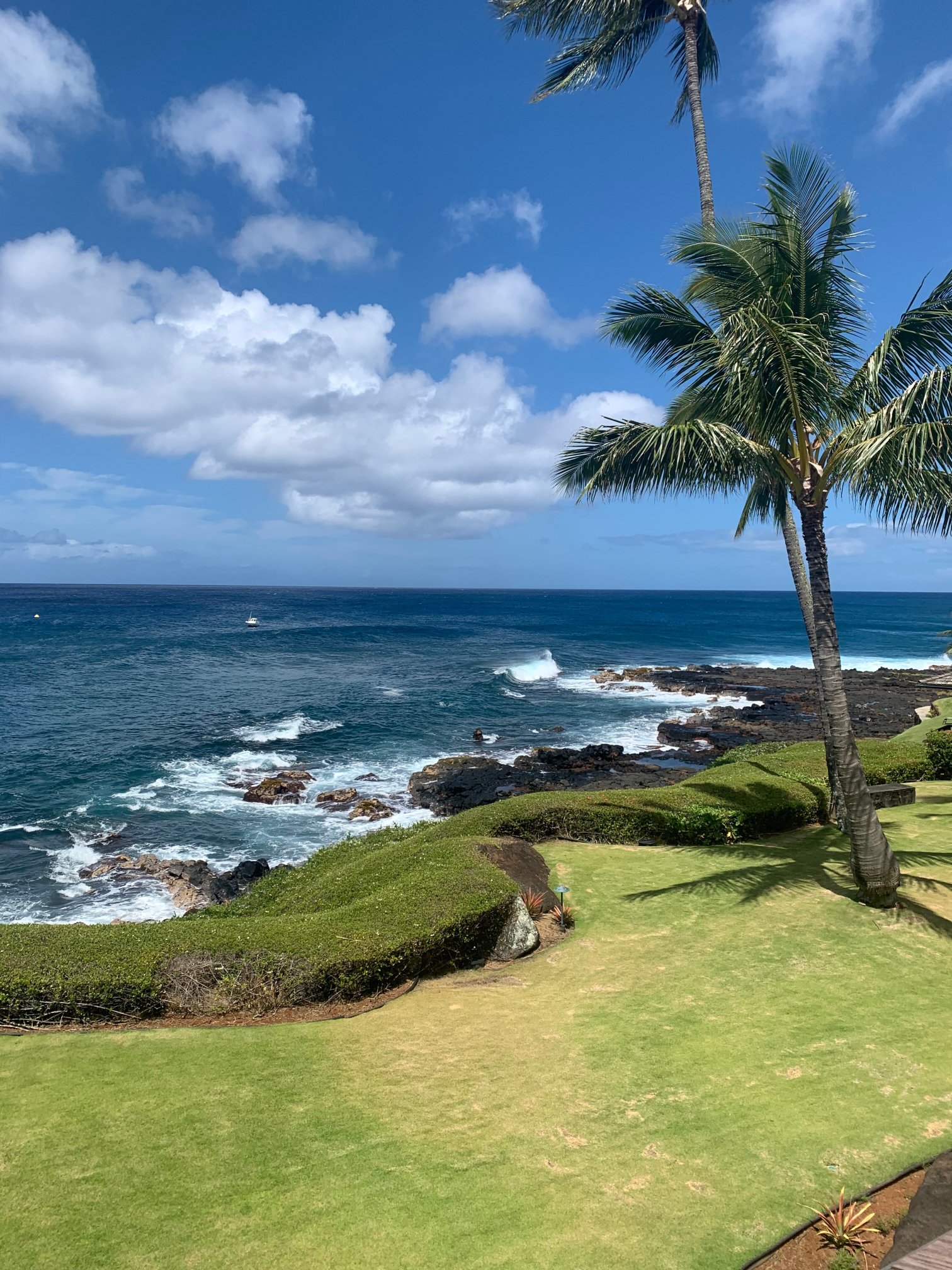 Whalers Cove Oceanfront Resort-浴室