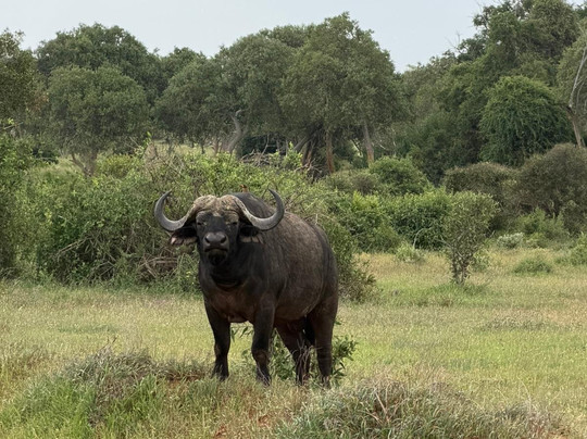 John Nyale Tours & Safari Experience-瓦塔木必去景点