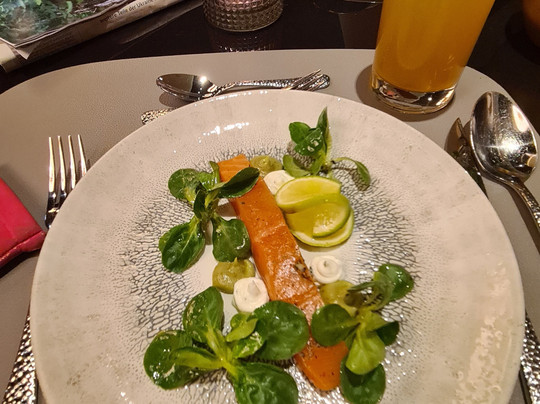 Dorint Thermenhotel Freiburg主图