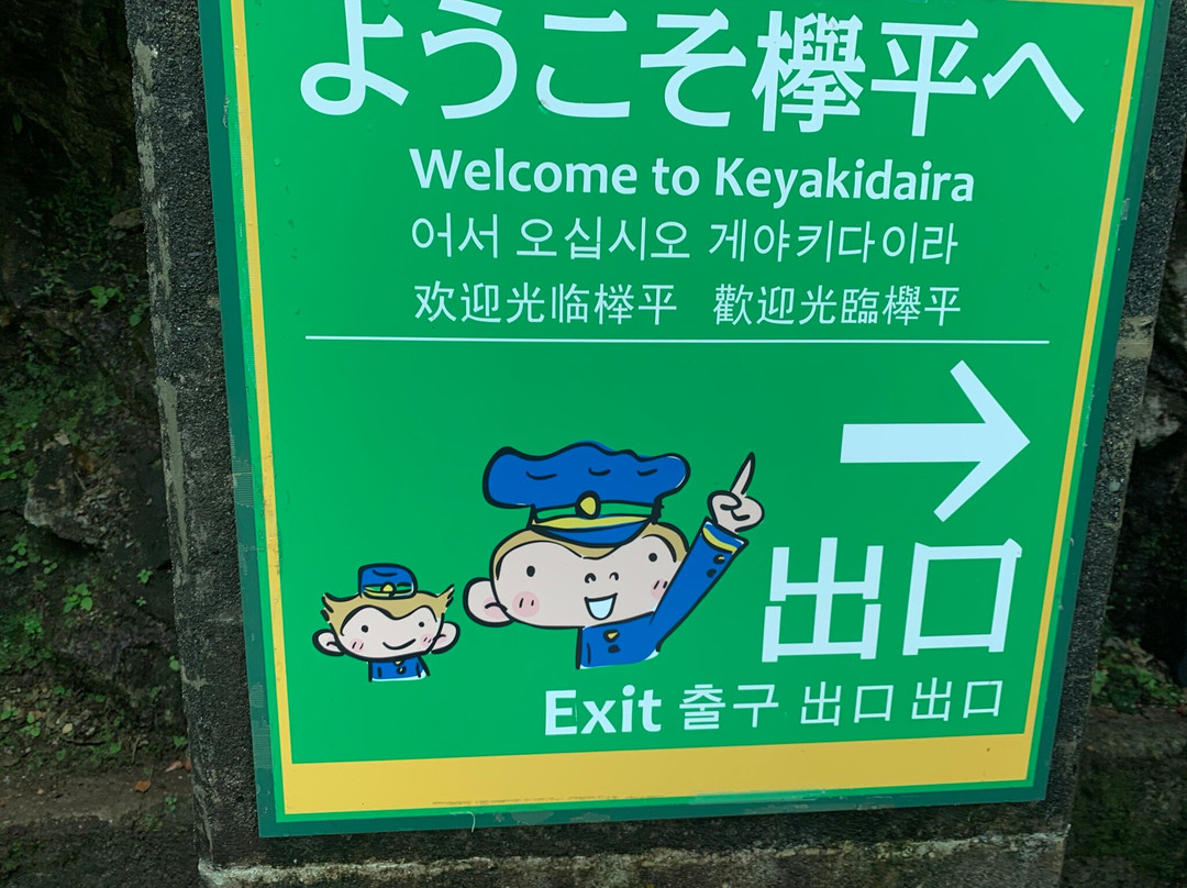 Kurobe Gorge-黑部市必去景点