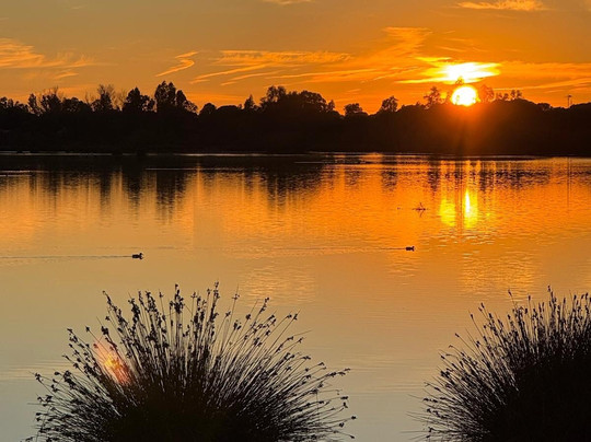 ON Acebuchal 23主图