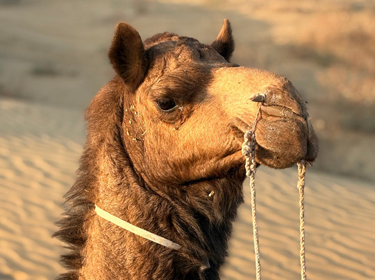 天空广场酒店主图