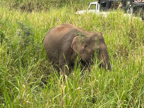 Uminda Sri Lanka Tours-Sirimalwatta必去景点