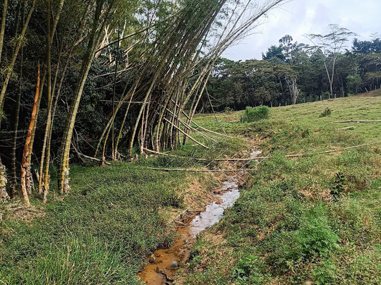 Black Inca House-Betulia必去景点