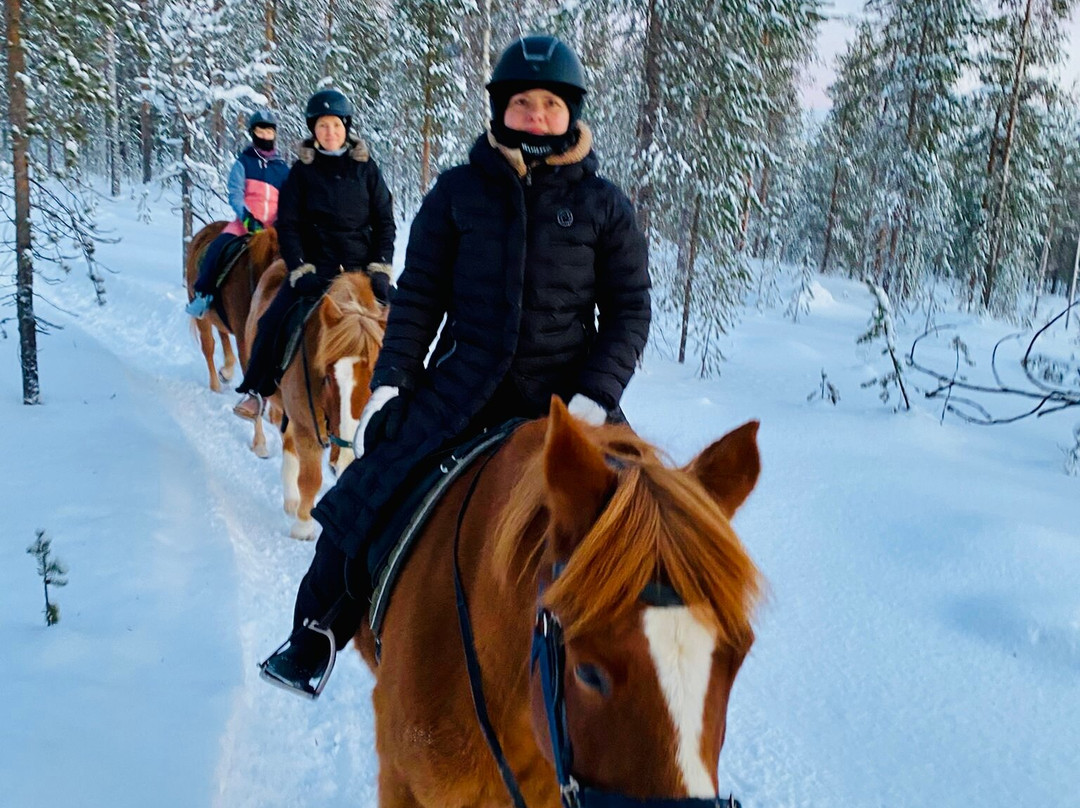 Polaris Point Horses-撒利塞卡必去景点