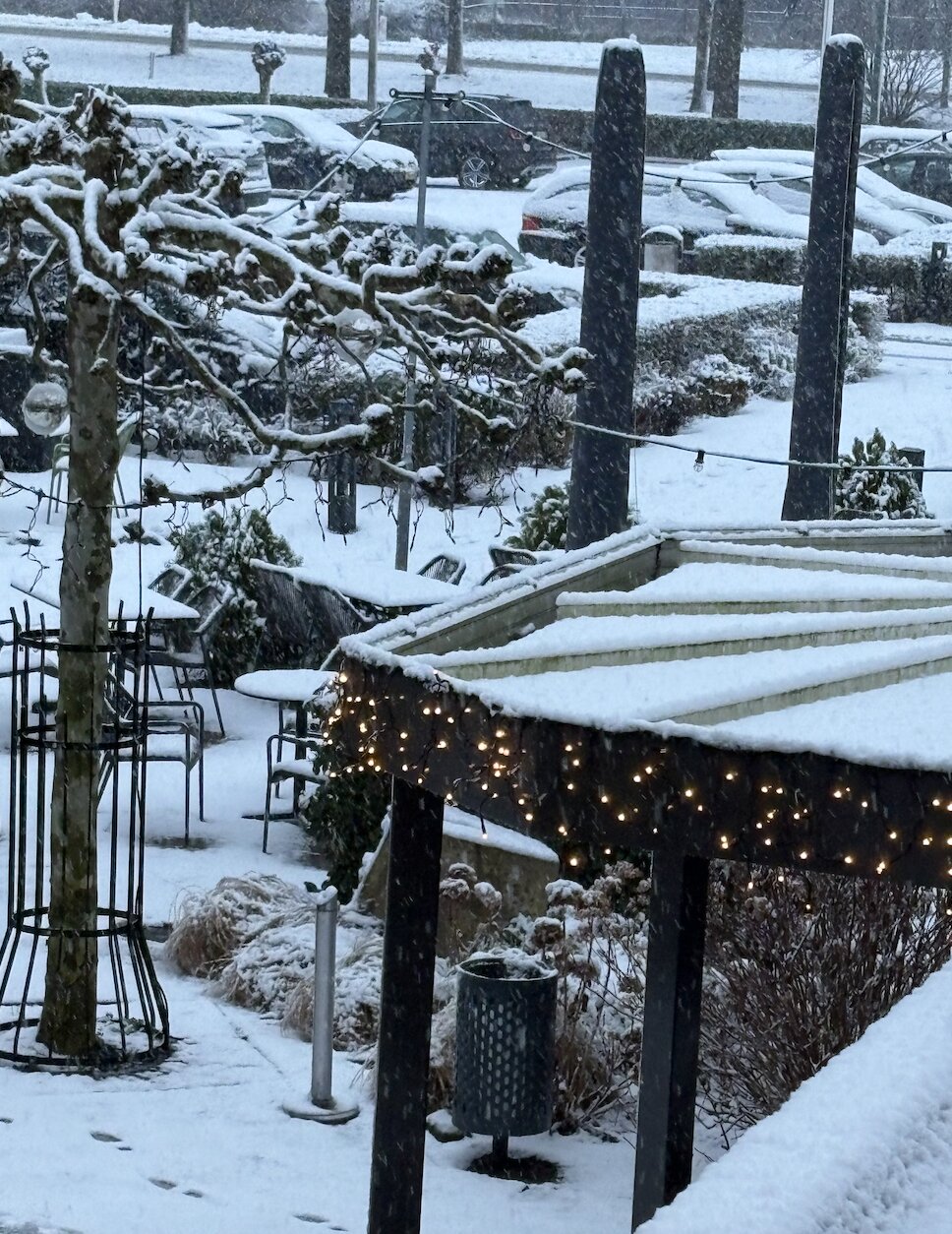 卡尔顿总统-官方