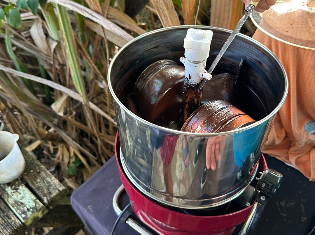 Cook Islands Chocolate Factory-穆里必去景点