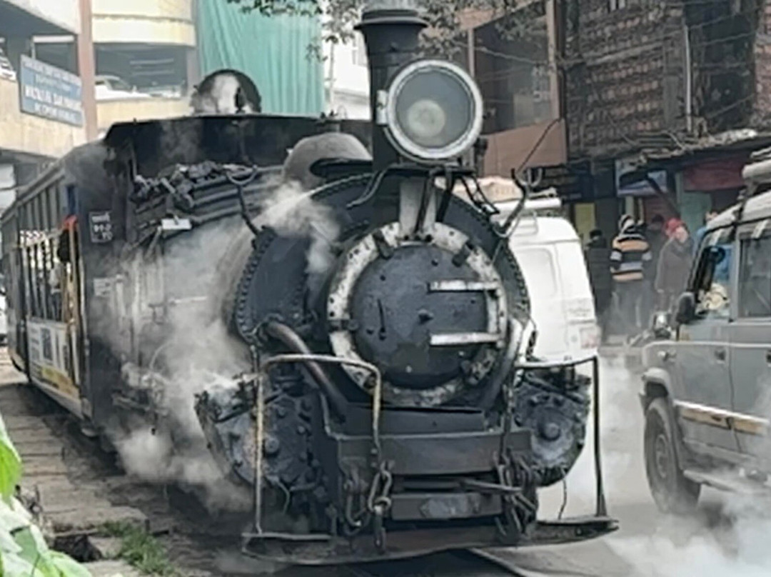 Darjeeling Himalayan Railway-大吉岭必去景点