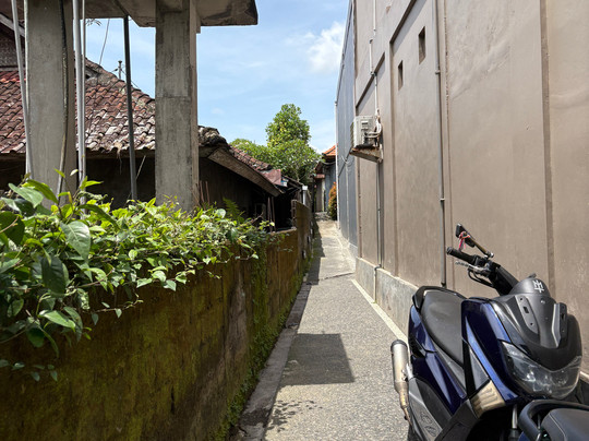 Ubud Tropical Garden 2主图
