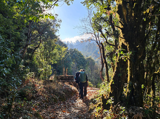 Nepal Wilderness Trekking Pvt-加德满都必去景点