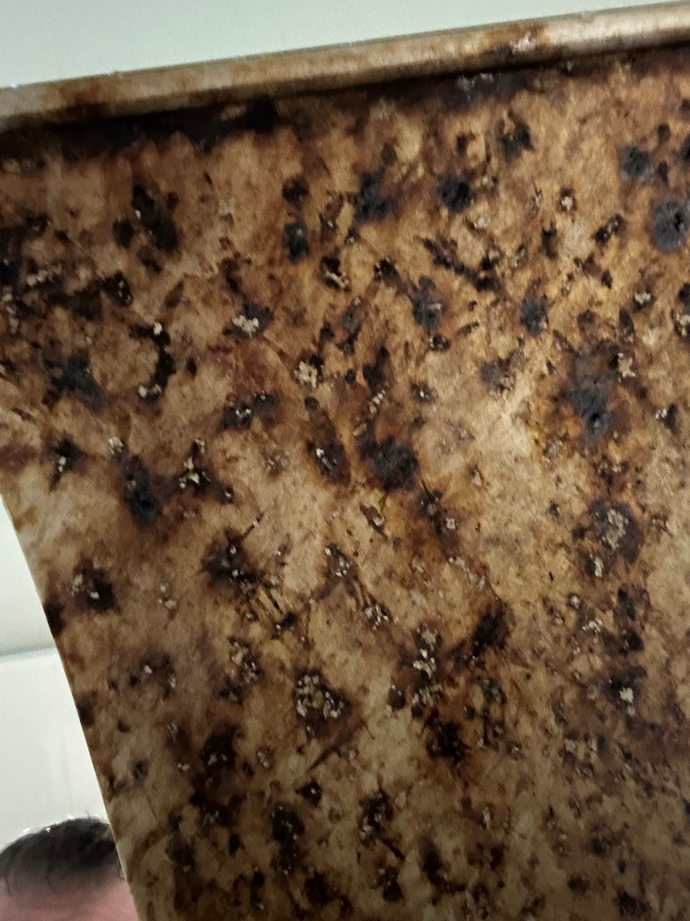 乔治华盛顿高尔夫酒店&SPA-官方