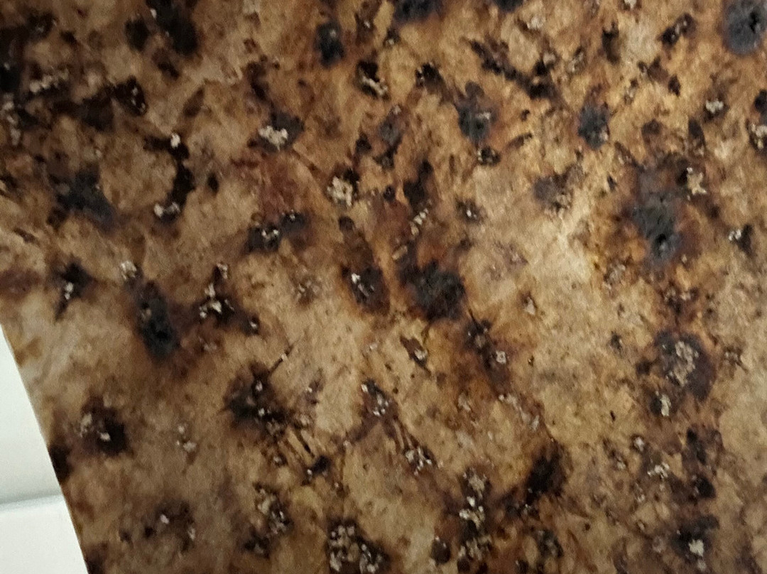 乔治华盛顿高尔夫酒店&SPA主图