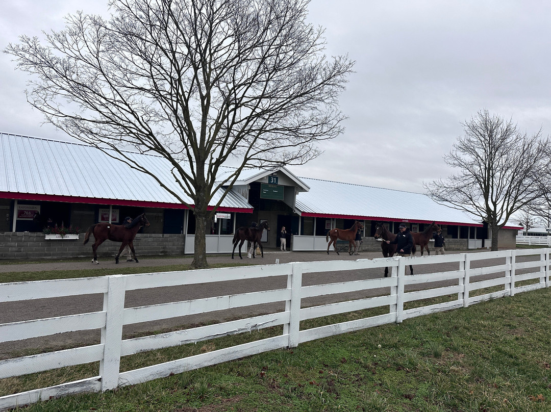 Keeneland-列克星敦必去景点