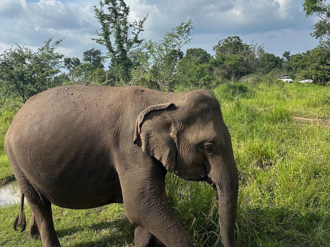 The Visit Lanka Tours-科伦坡必去景点