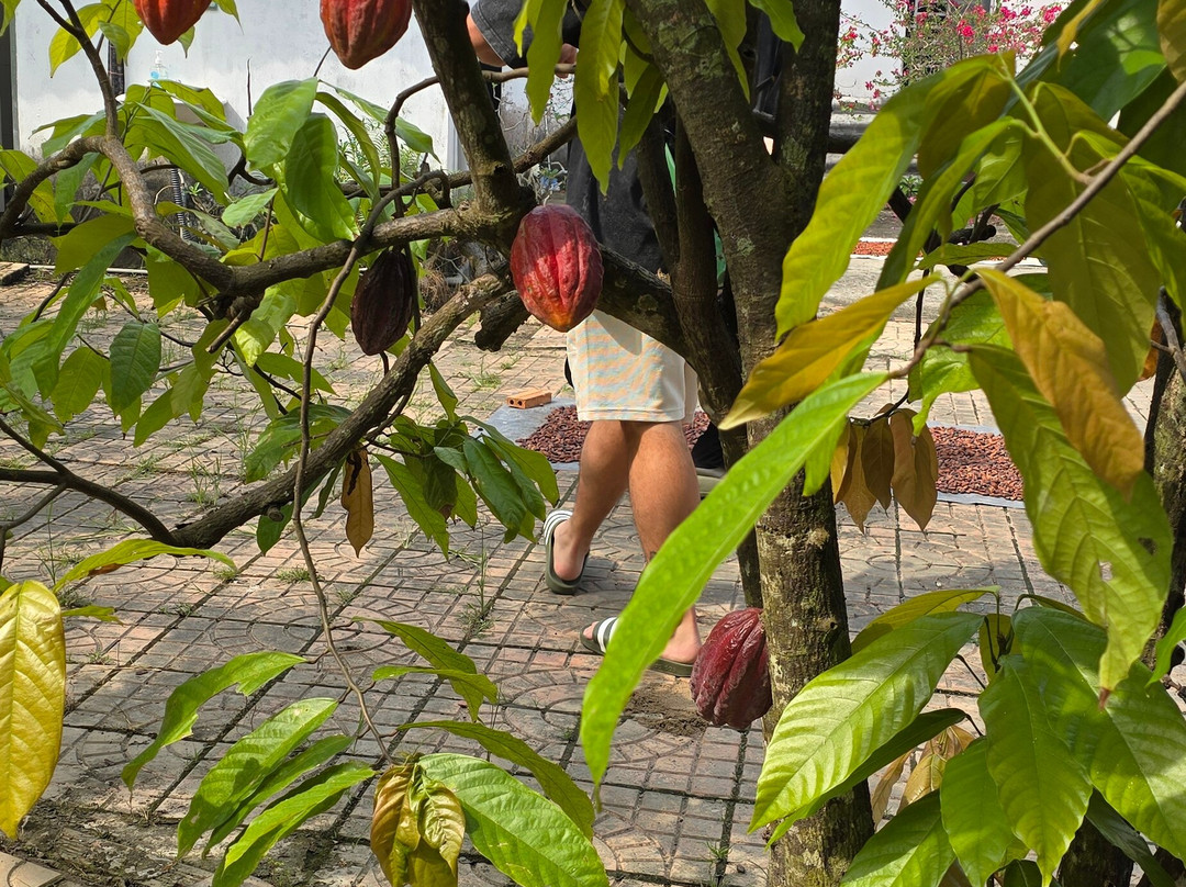 Mekong Realism-芹苴必去景点