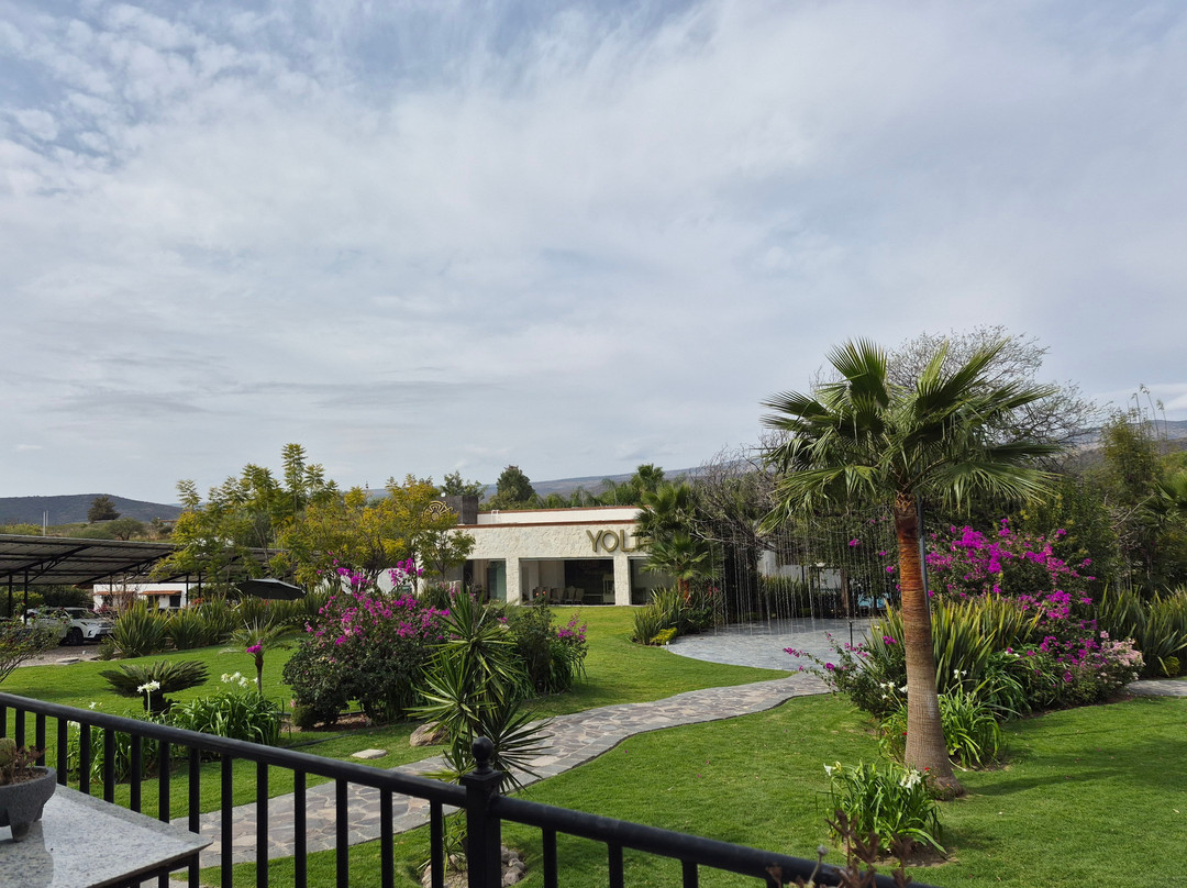 Yolihuani Relax Resort-Calvillo必去景点