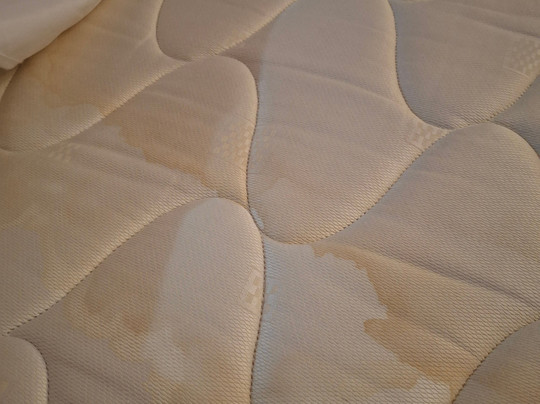 卢顿希尔顿花园酒店主图