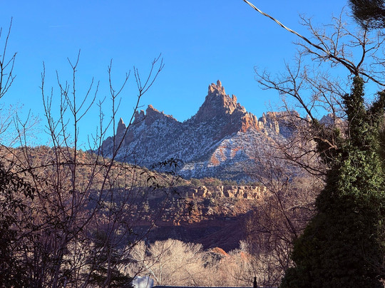 Tyler Inn at Zion主图