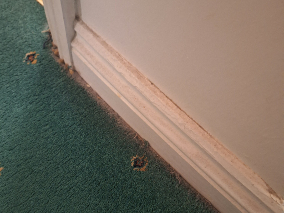 The Garrison Hotel主图