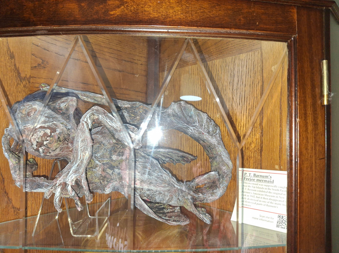 Morbitorium-卡菲利必去景点