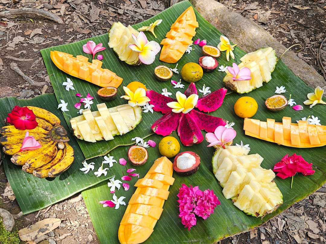 Explore Sumatra Orangutan-武吉拉旺必去景点