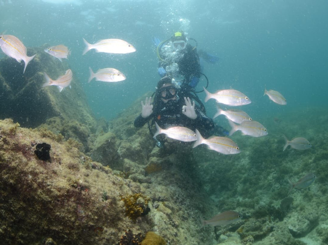 Deep Trip-阿拉伊阿尔港必去景点