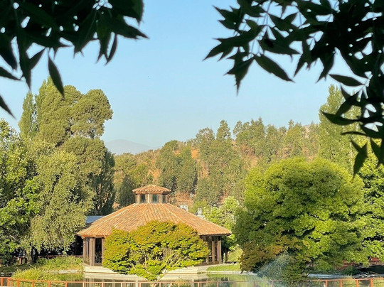 La Casona At Matetic Vineyards主图