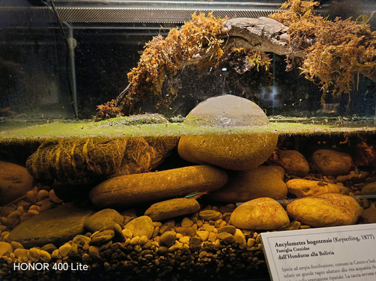 Citta Della Scienza-那不勒斯必去景点