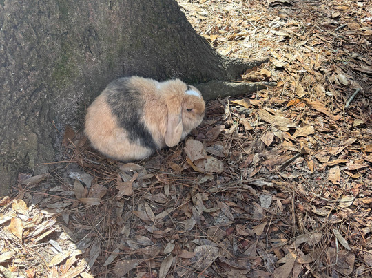 Redemptive Love Farm-Miccosukee必去景点