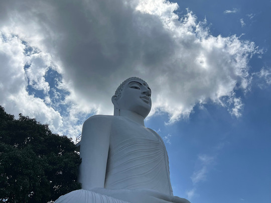 Private Tour Guide in Sri Lanka-科伦坡必去景点