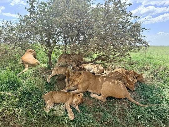 Ndutu Lake-恩戈罗恩戈罗保护区必去景点